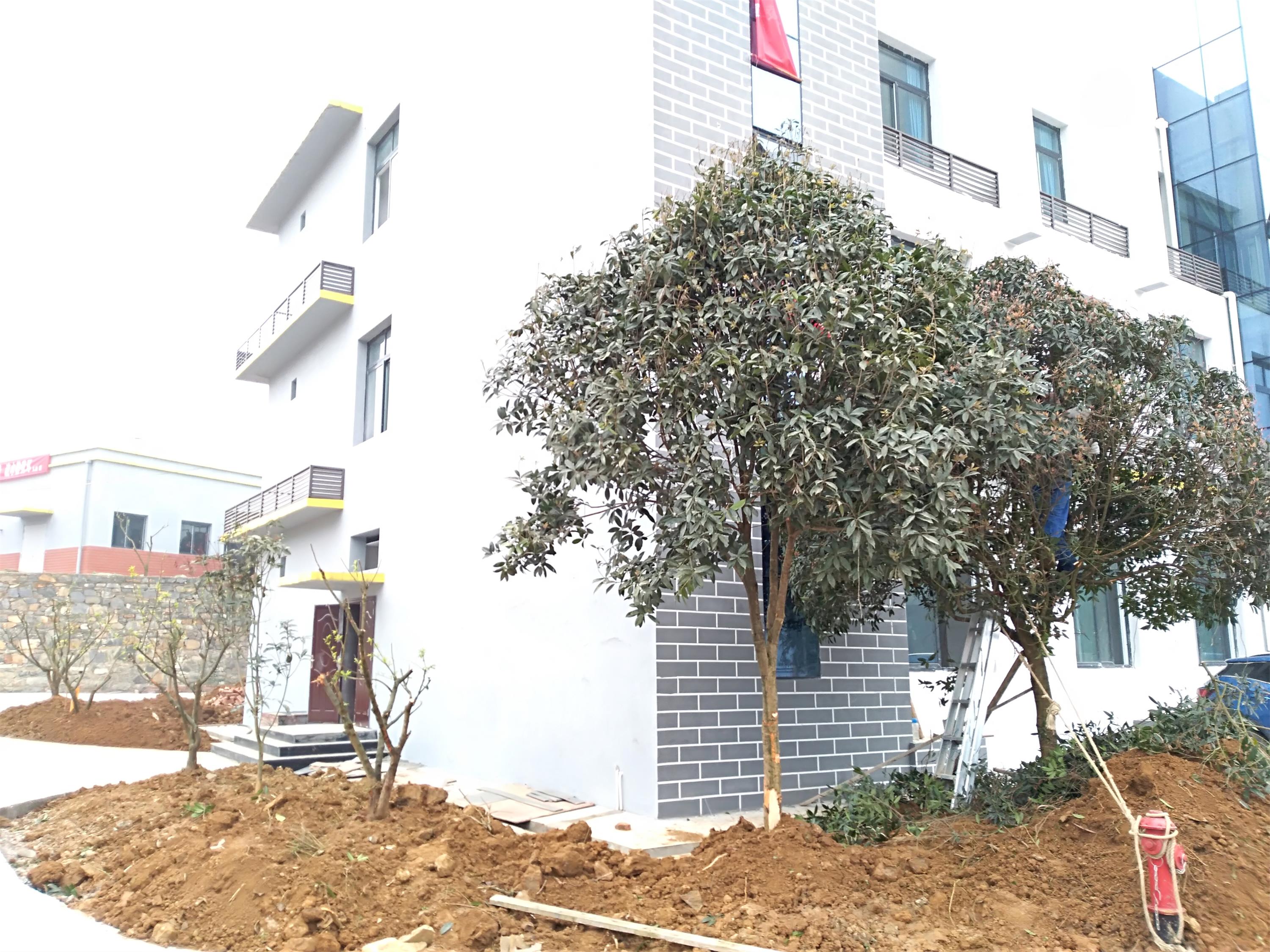 image007.jpg image007.jpg